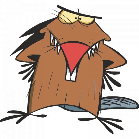 COUB BY VIT