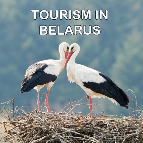 Туризм в Беларуси
