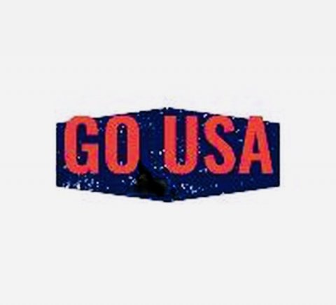 Go to usa