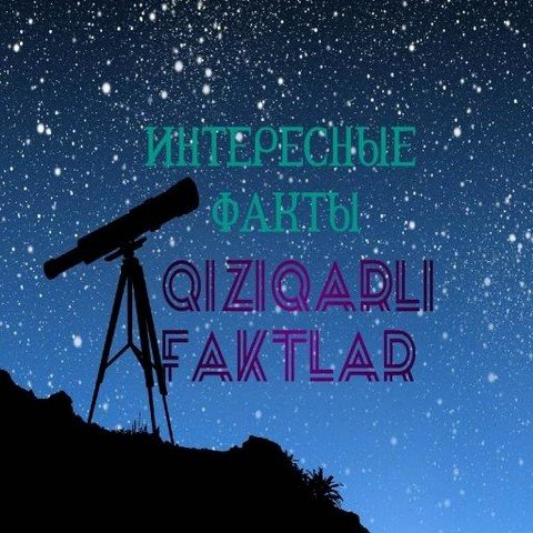 QIZIQARLI FAKTLAR(ИНТЕРЕСНЫЕ ФАКТЫ)