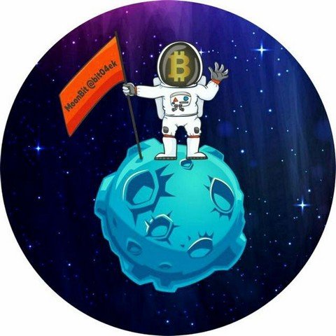 MoonBit