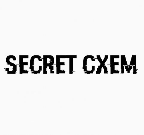 Белые схемы для заработка