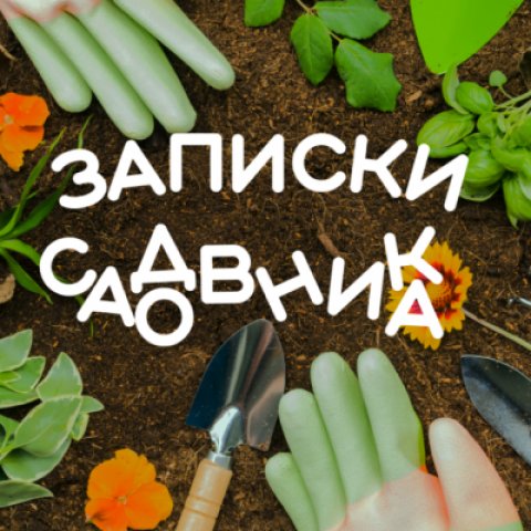 Записки садовника🥕 |Дача|Сад|Огород