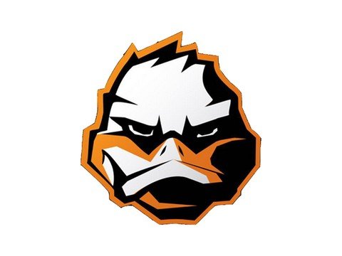 Бизнес с нуля. Заработок без вложений