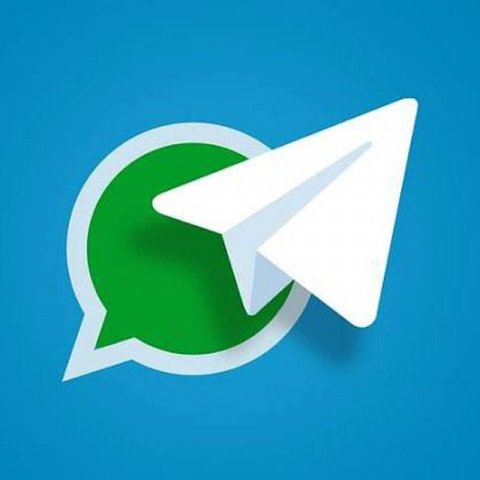 🎯ССЫЛКИ НА ГРУППЫ WHATSAPP🎯
