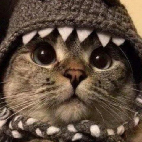 Полка по всем фд