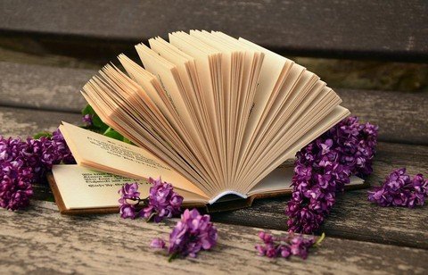 Що почитати-найкращі книги