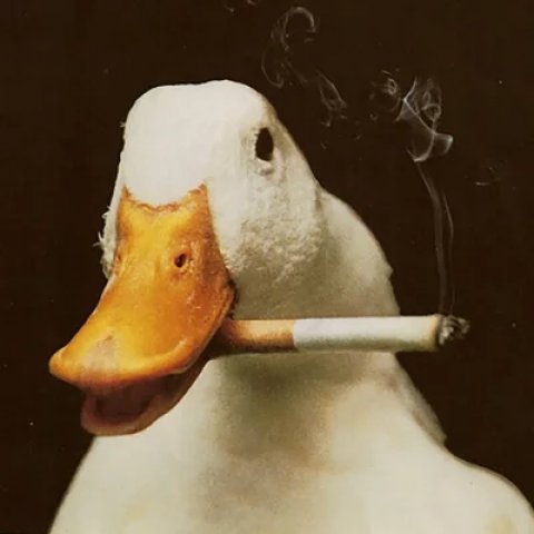 🪿🪿Гуси-лебеди 🦢🦢