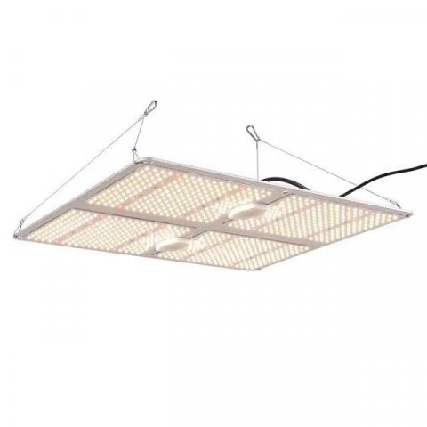 Grow LED