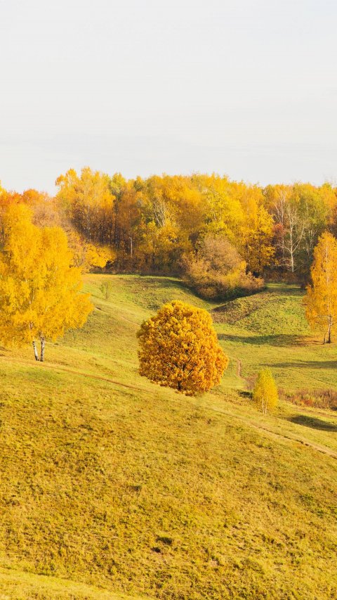 Б/У мебель