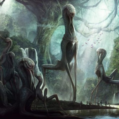 Первопроходцы нового мира