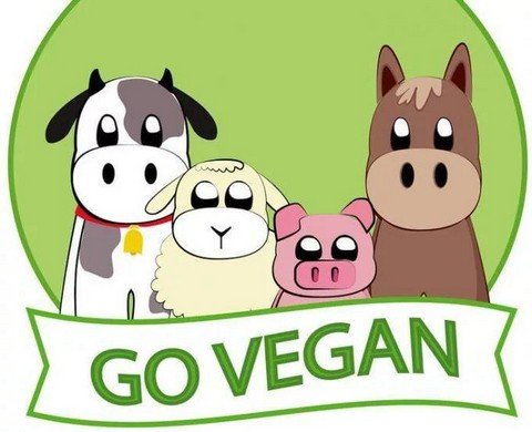 WORLD VEG ЧАТ