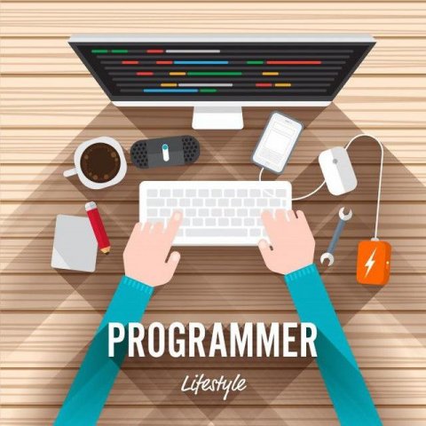 Programmer_life
