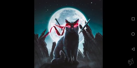 Круд