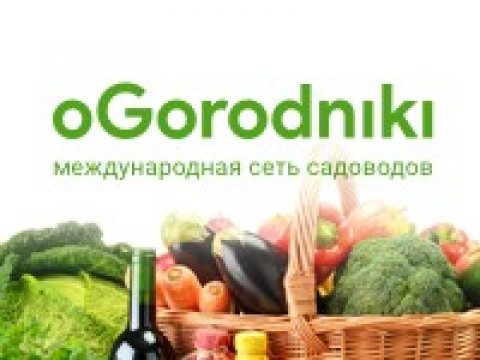 Ogorodniki