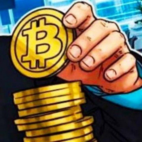 CryptoNews24