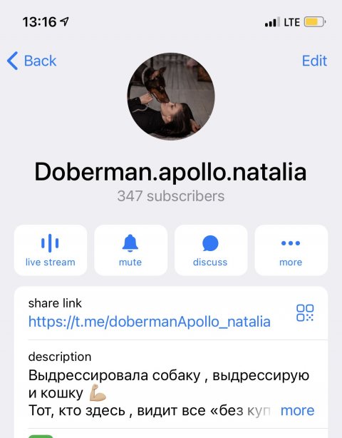 Doberman.apollo.natalia