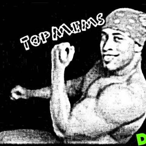 TopMems