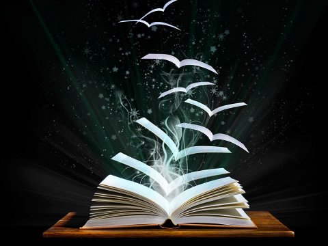 Ни дня без книг