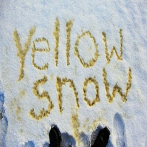 Жёлтый снег