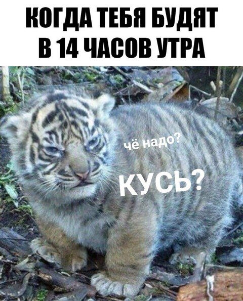 Общение. Хабаровск