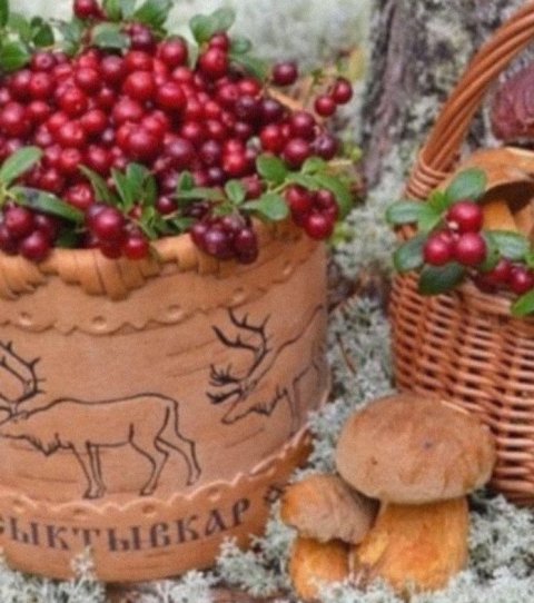 Лесные и морские дары