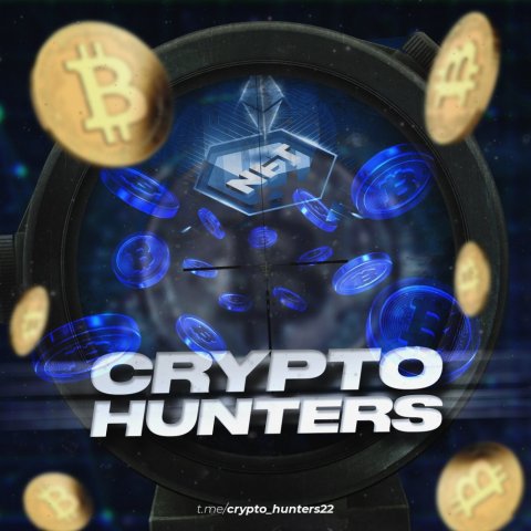 Crypto ⚔️ Hunters