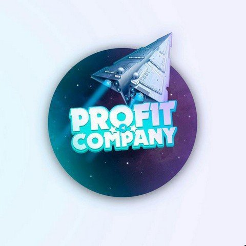 PROFIT COMPANY