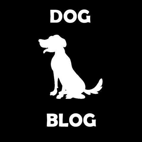 Блог Пса