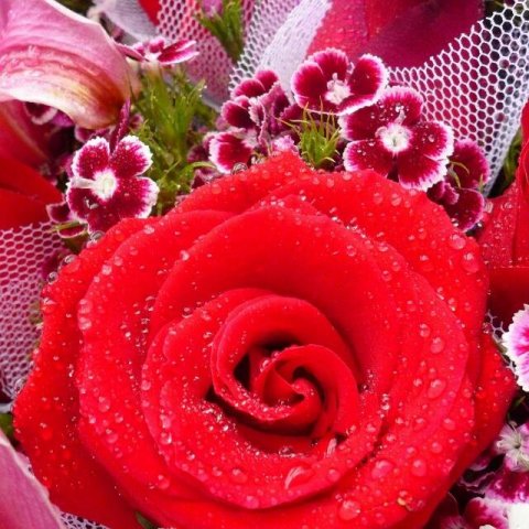 💖Мир групп💖