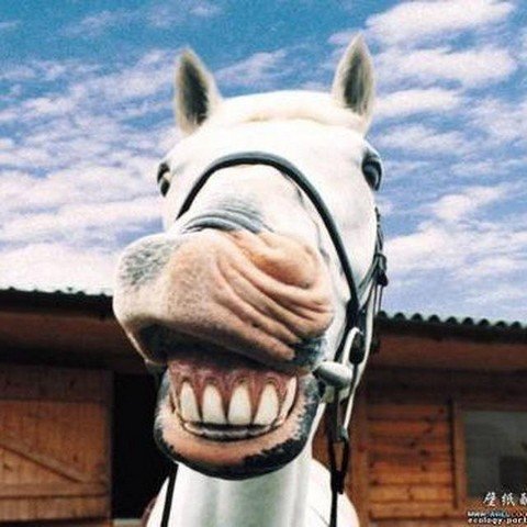 Смешно до слёз | #СмешныеЛюди