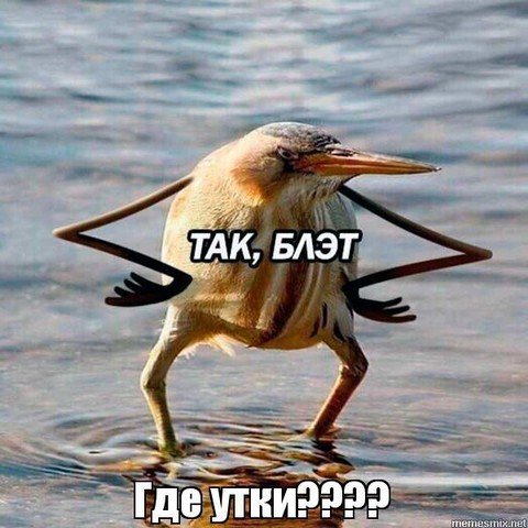 Кря Кря