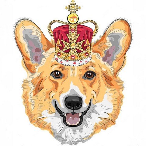 SmmKingdom - продвижение в соцсетях