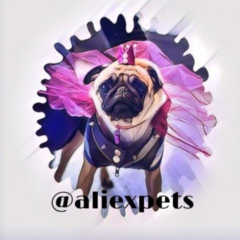 Aliexpets