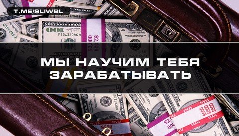 Сливы