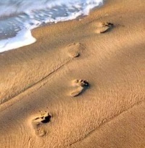 Trackway
