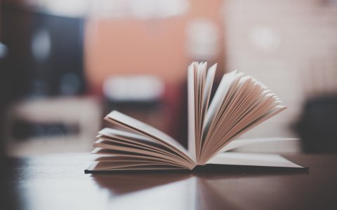 Аудиокниги. Лекции. Саморазвитие. Эзотерика.