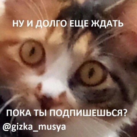 ГИЗГА Муся
