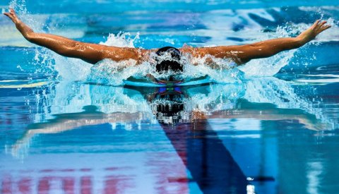Swim To Dream