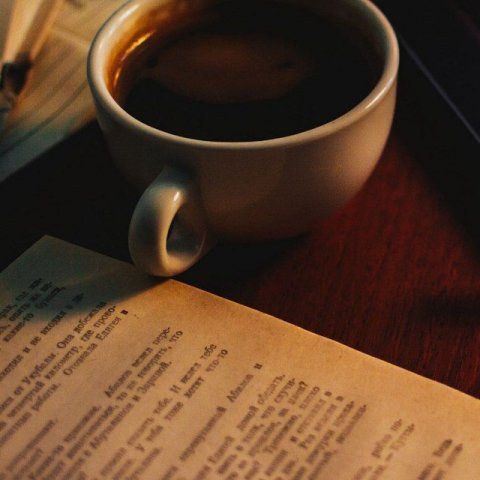Пишу книгу