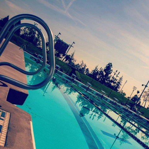 Elite Swimming