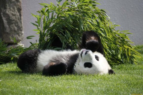 Короче говоря 😎