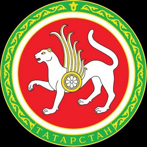 Татарская жизнь
