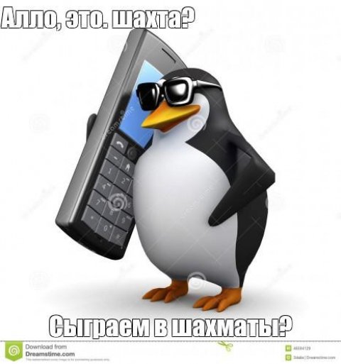 Мемы с пингвинами