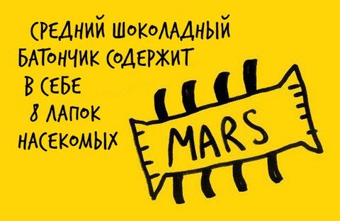 Факт №1