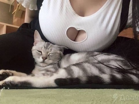Сексуальность