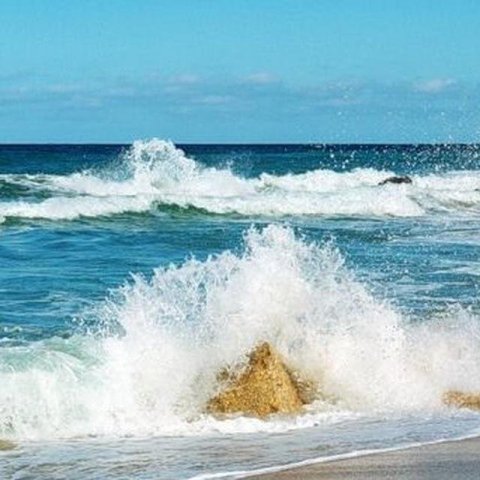 Wastedsea