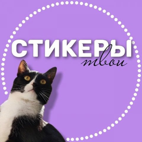 ТВОИ СТИКЕРЫ png