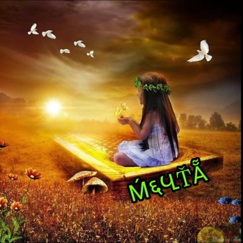 МЕЧТА
