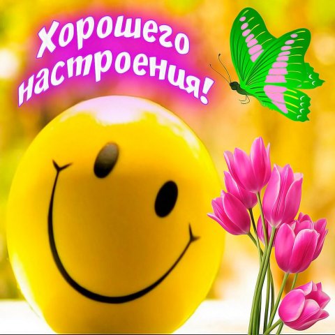 Красивое поздравление